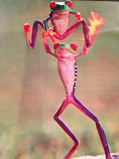 HAY HOMBRES RANA Y MONAS RANA