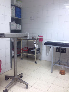 MONAS PORTEÑAS (III)