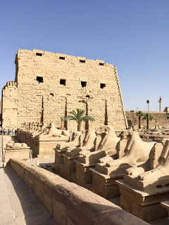 MONAS FARAÓNICAS IV (MONA JACINTA)