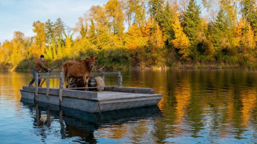 FIRST COW (MONA JACINTA)