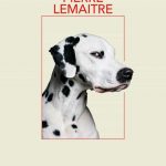 LA GRAN SERPIENTE (MONA JACINTA) Serpiente